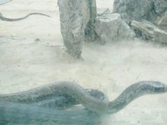 -荔城生鲜盛宴(番禺旗舰店)
