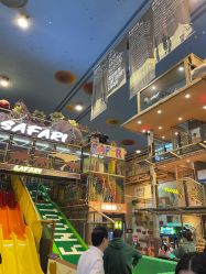 -卡通尼·Safari非洲探索乐园·生日会(金桥国际商业广场店)