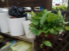 -徐州老灶台(环庆路店)