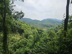 -广州市帽峰山景区