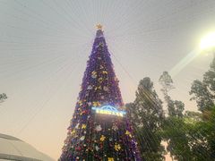-广州长隆国际大马戏