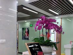 -茂菊口腔连锁(浦东南路店)