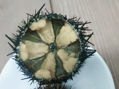 -海胆小馆(东北水饺·春柳店)