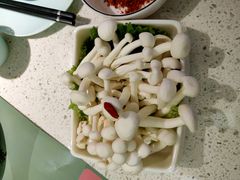 -九孔·筒骨莲藕汤锅(大明宫万达店)