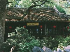 -上海醉白池公园