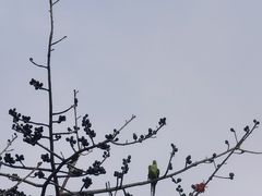 -广州雕塑公园