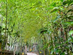 -来宫神社