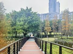 -沐仙湖湿地公园