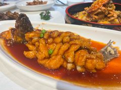 -月湖翠·上海菜(思南公馆淮海店)