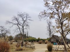-良渚古城遗址公园
