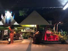 -绿光森林餐厅