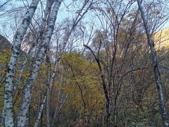 -叠溪松坪沟景区