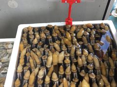 -蚝专家(北滘店)