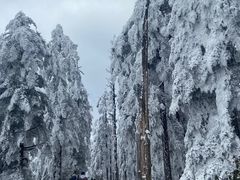 -瓦屋山景区