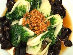 -一轩饺子馆(丽都店)