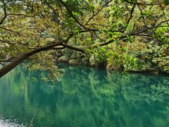 -鼎湖山风景区