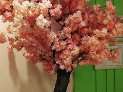 -Sakura·美颜社·日式私汤SPA