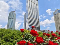 -小白楼1902欧式风情街