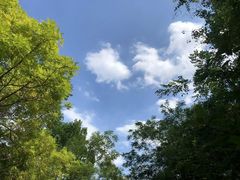 -塘沽森林公园