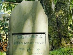 -天一阁博物院