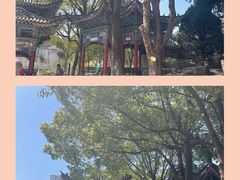 -华雅花园大酒店