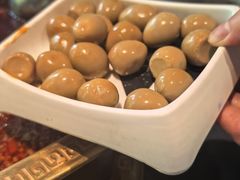 -蜀九香火锅(李家沱店)