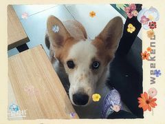 -平行世界·猫咖(首经贸店)