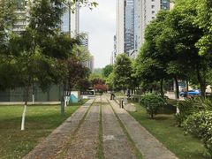 -大米先生(光电园店)