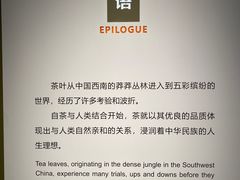 -中国茶叶博物馆(双峰馆区)