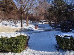 -元大都城垣遗址公园