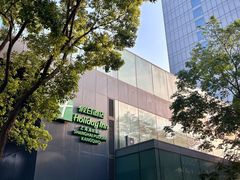 -上海浦东康桥绿地假日酒店