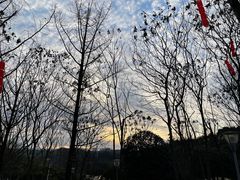 -重庆园博园