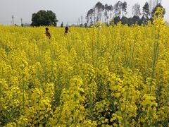 -中国天府农业博览园