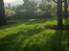 -北京植物园-展览温室