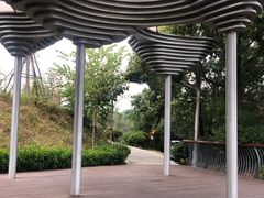 -飞凤山奥体公园