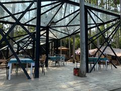 -桉树林A coffee 森林餐厅(三圣乡店)