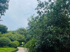 -凤翔首邑温泉度假村