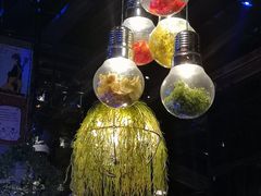 -胡桃里音乐酒馆(四道口店)