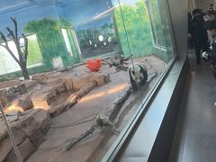 -秦皇岛野生动物园