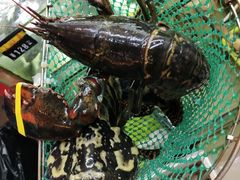 清蒸大龙虾-覃记海鲜美食餐厅