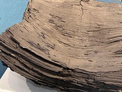 -浙江西湖美术馆