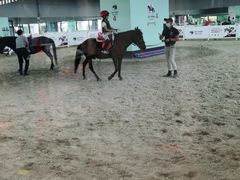 -骑乐马术(广州奥体优托邦中心)