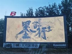-枫花园汽车电影院(朝阳公园店)