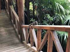 -昆明柏联SPA温泉