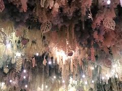 -丽华园(汉阳龙阳店)