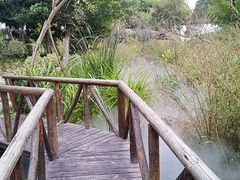 -武汉紫薇都市田园