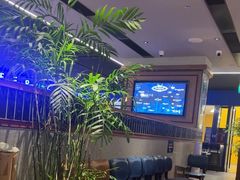 -bluefrog蓝蛙(新三里屯太古里店)