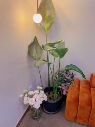 -轻妆Feel·半永久纹眉眼线