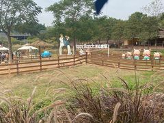 -盈香心动乐园