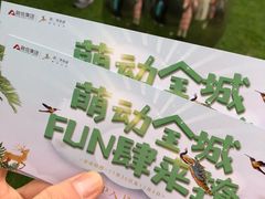 -青枫公园